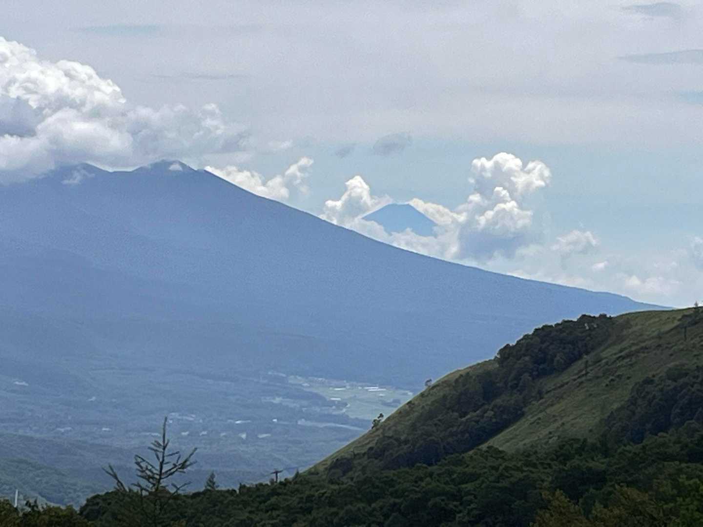 八島湿原バス停-八島湿原入口-霧ヶ峰湿原植物群落-男女倉山 周回コースの写真