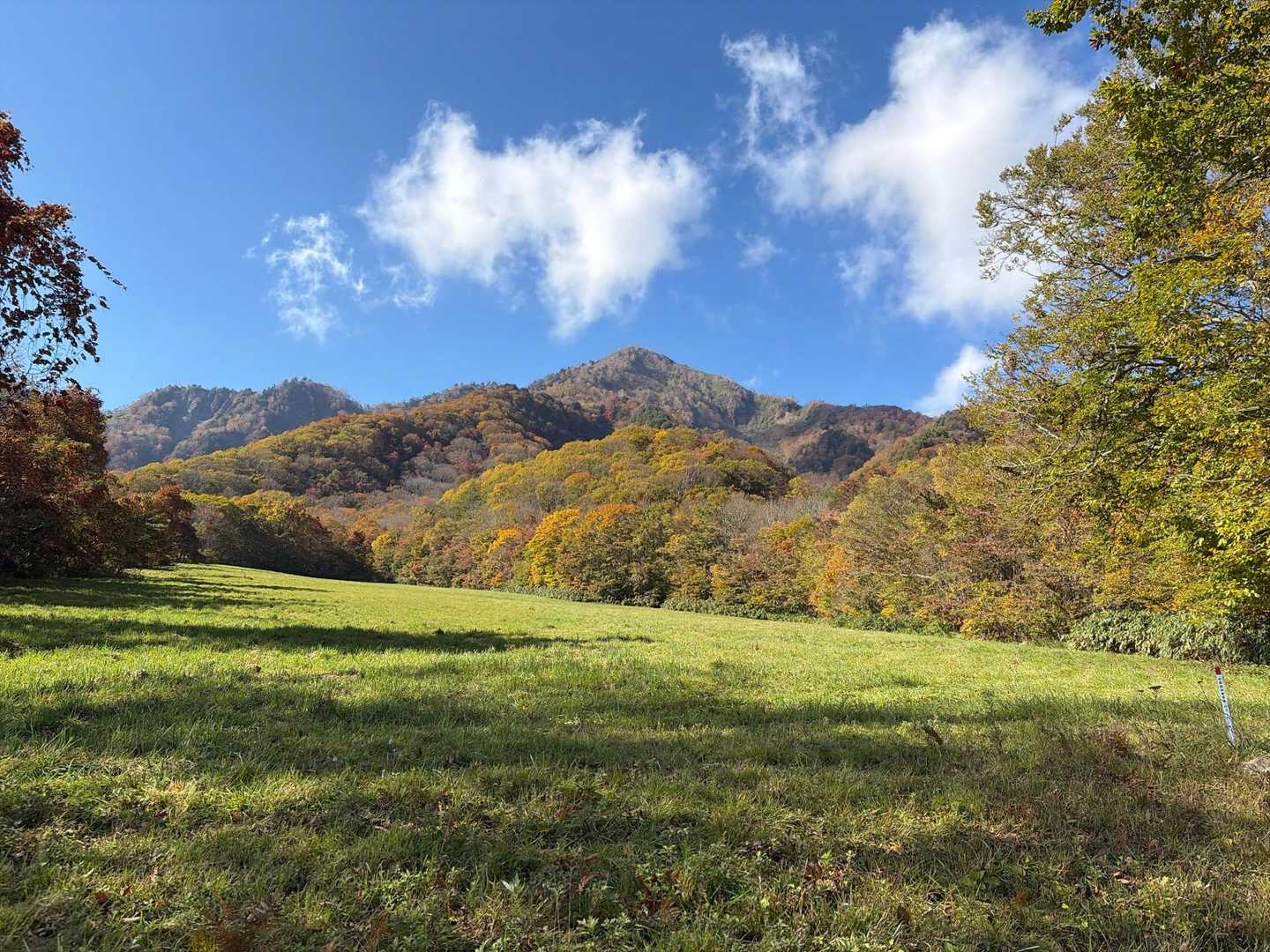 戸隠牧場まで下りてきました