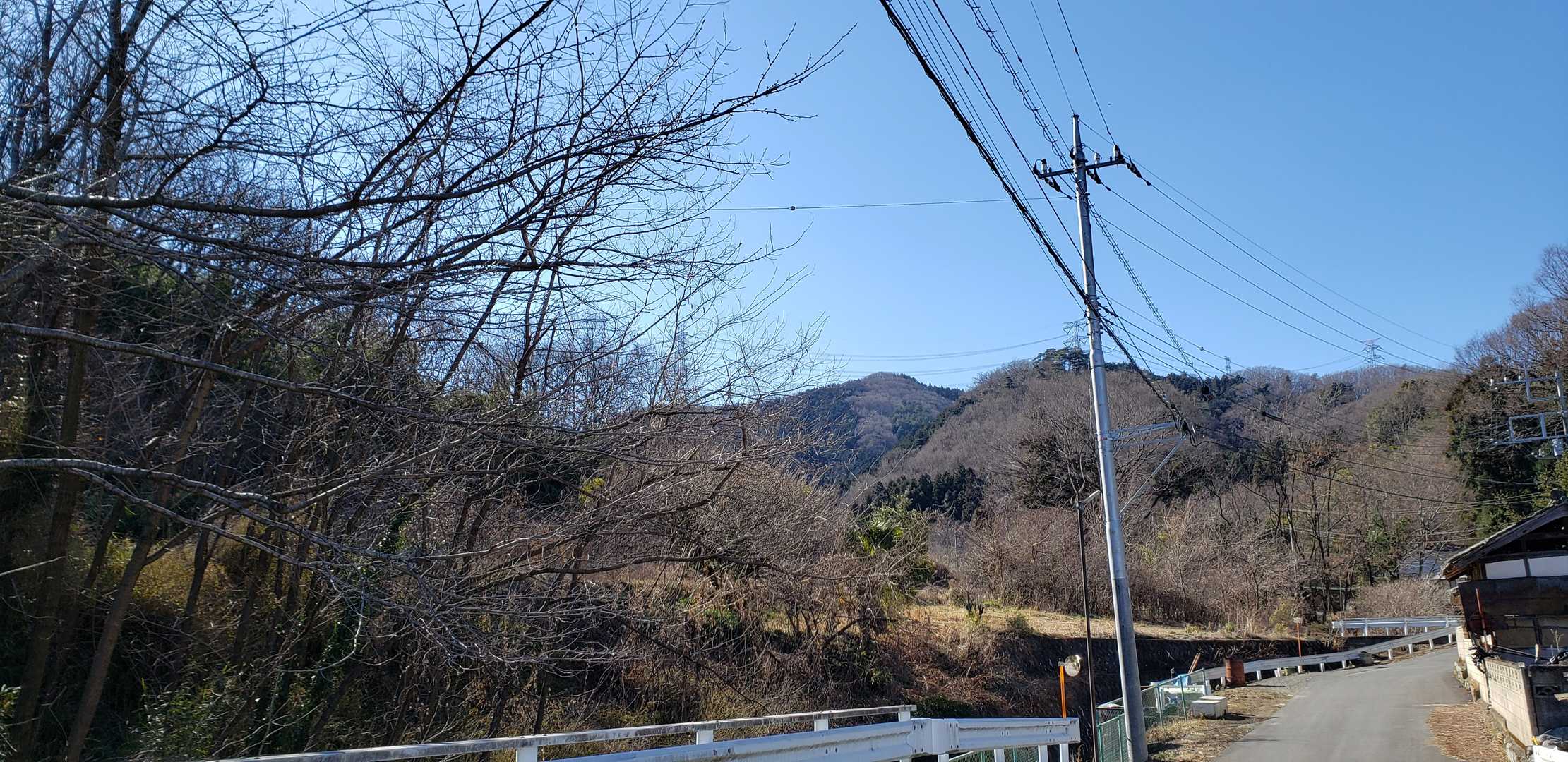 あれが陣見山🗻かな？