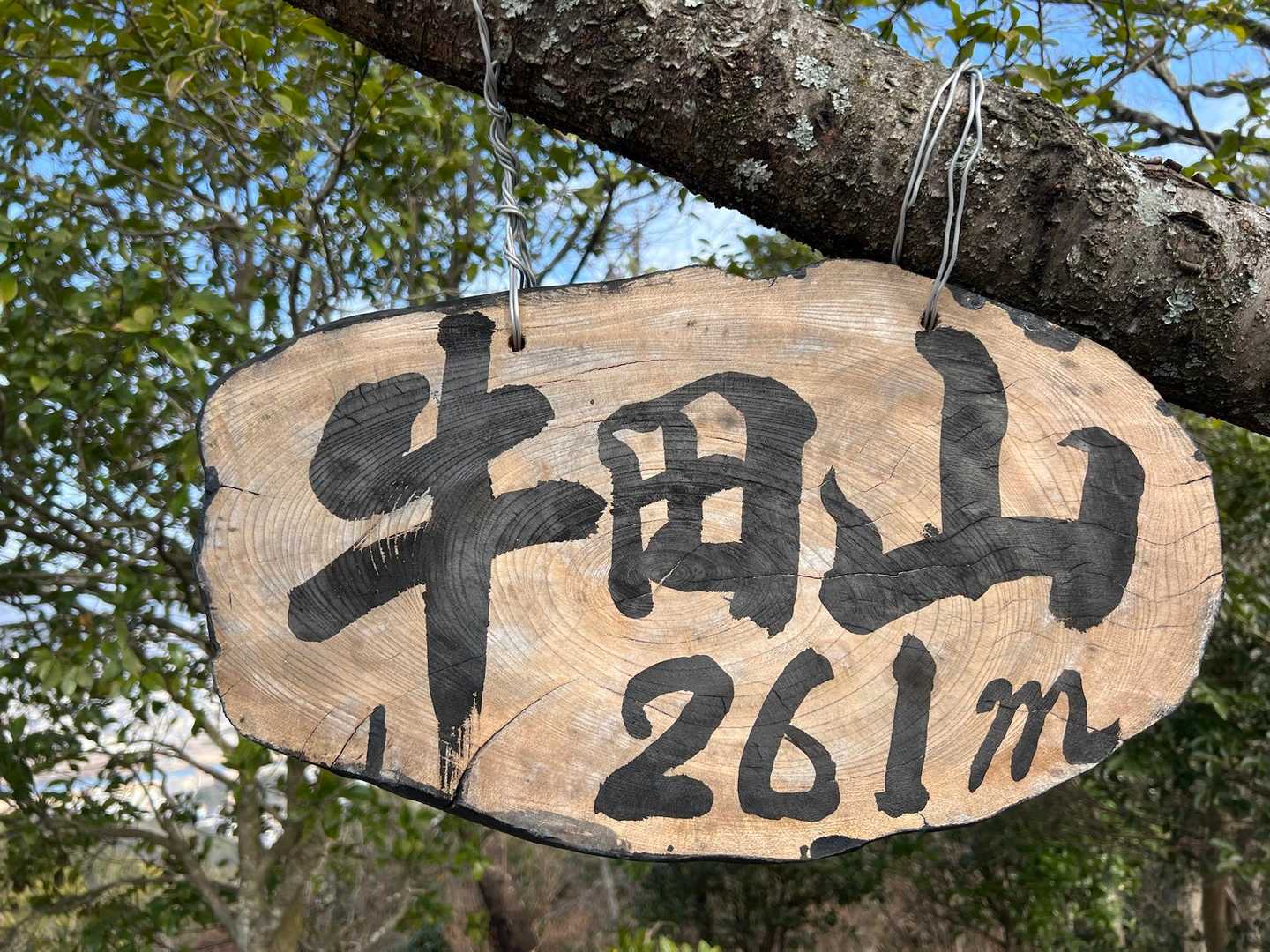 牛田山 標高261mの山頂に到着しました〜❣️╰(*´︶`*)╯♡