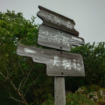天狗の森山頂
ガスガスで真っ白