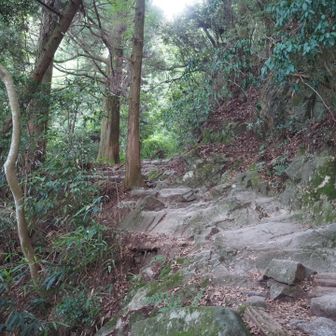 この辺りで嫌になって撤退