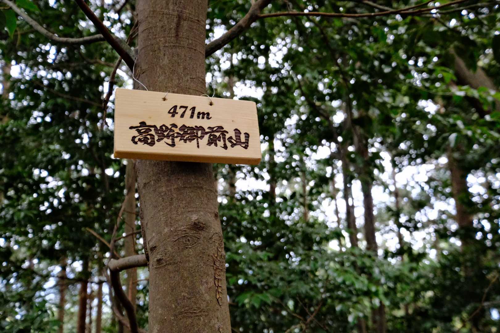高野御前山の写真