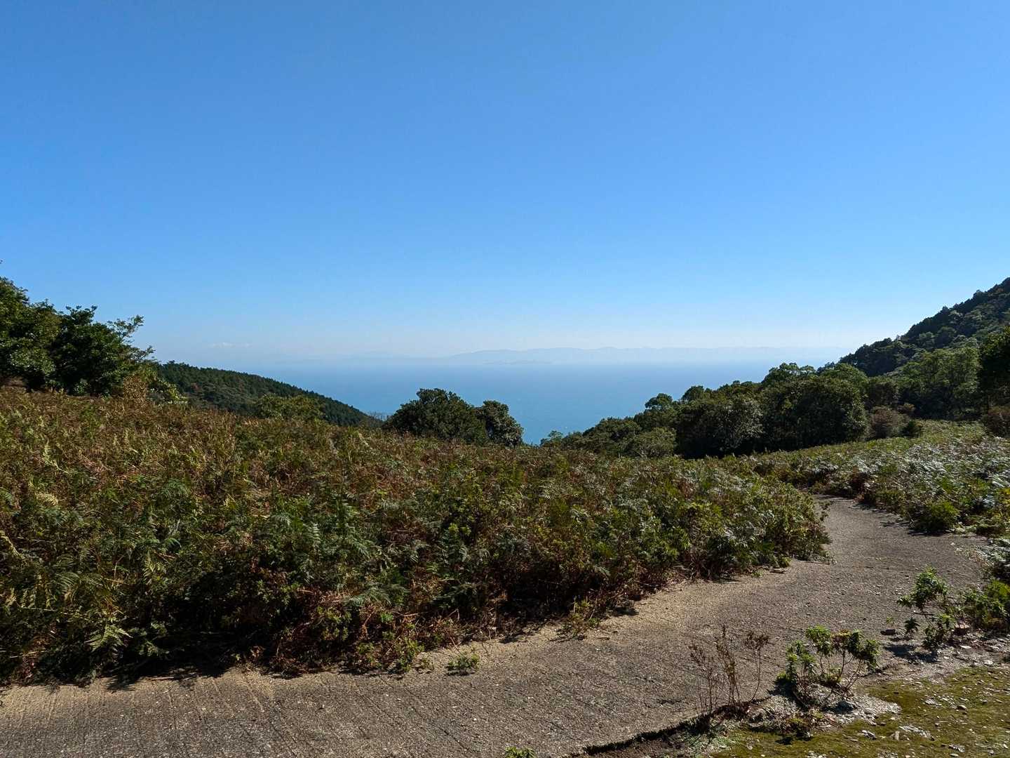 千々峠に到着
天草が見えている👀