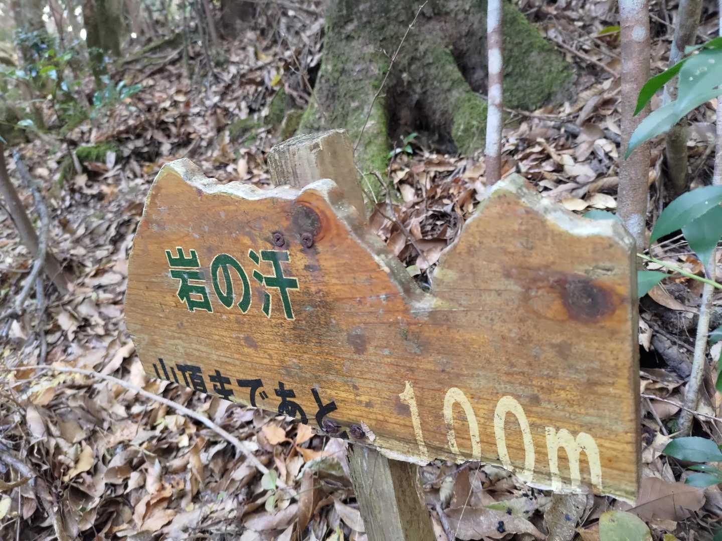 山の形のプレートですね🎵
山頂まであと100m