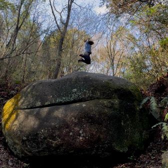 ハンバーガーストーン 飛んでみた