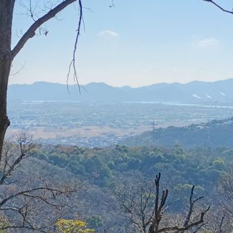 貝殻山が見えた。