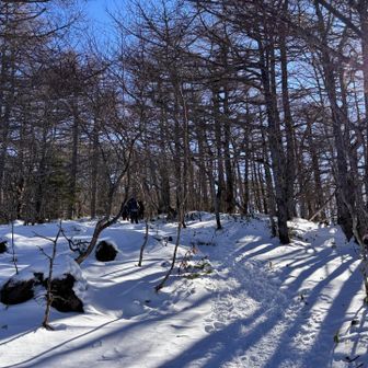 れっつごー！
連休なので人が多い！