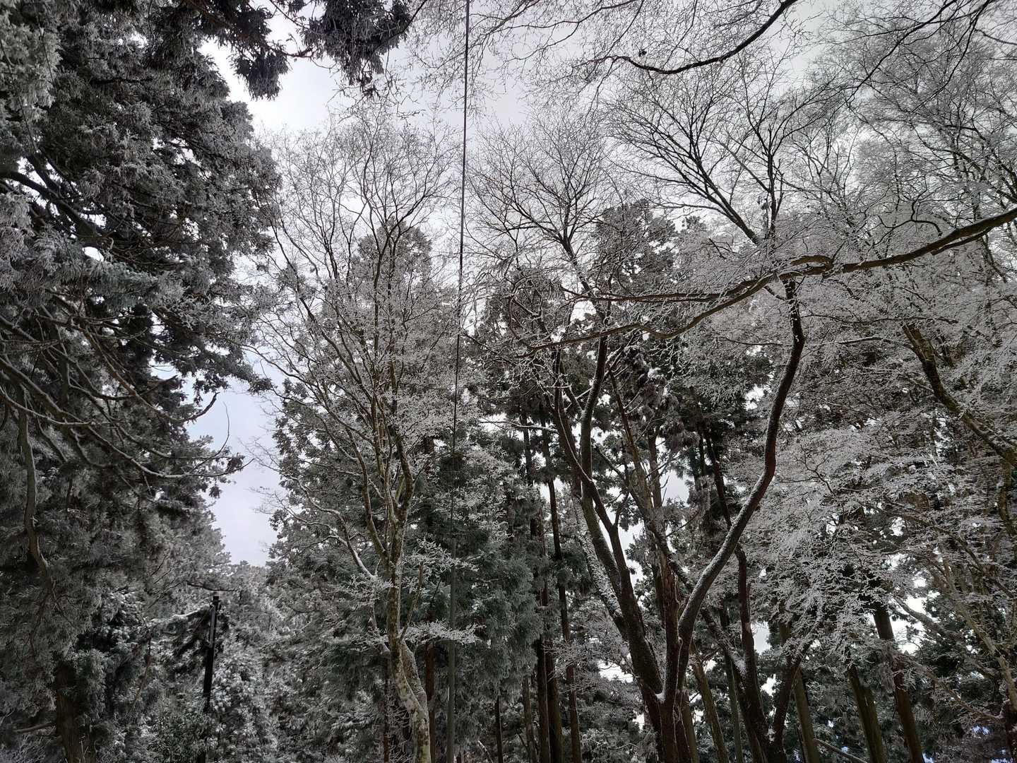 清滝バス停-愛宕山-水尾登山口 縦走コースの写真