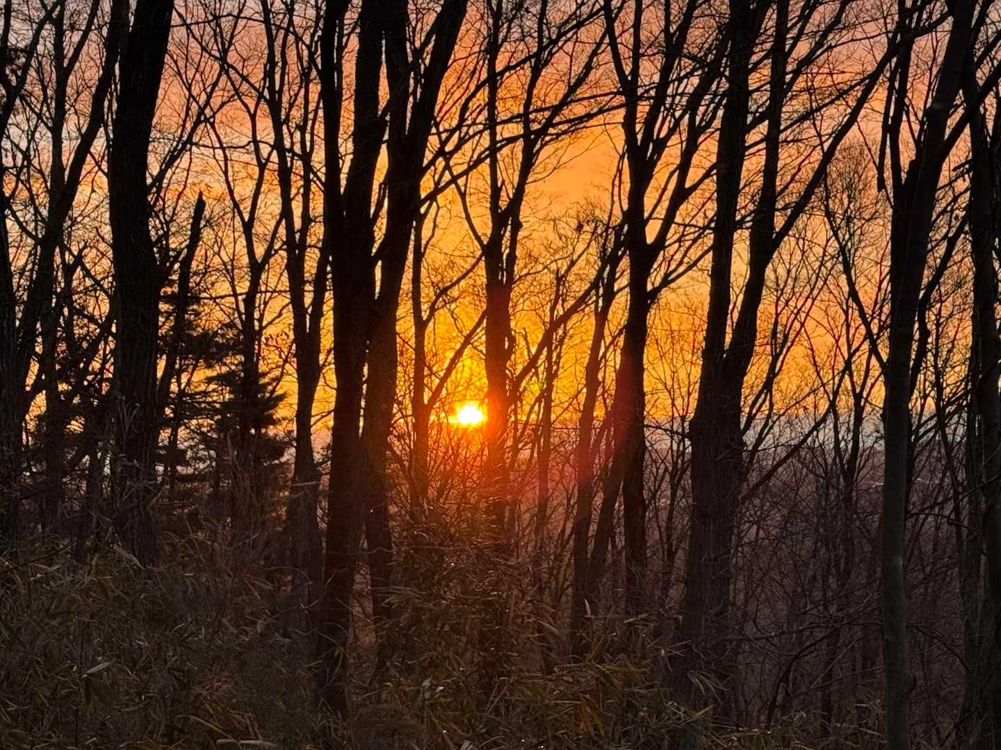 おっ！初日の出🌅