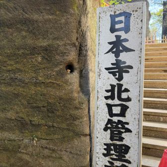 拝観料700円　残念ながら持ち金0円