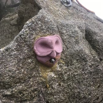 カイル　リース