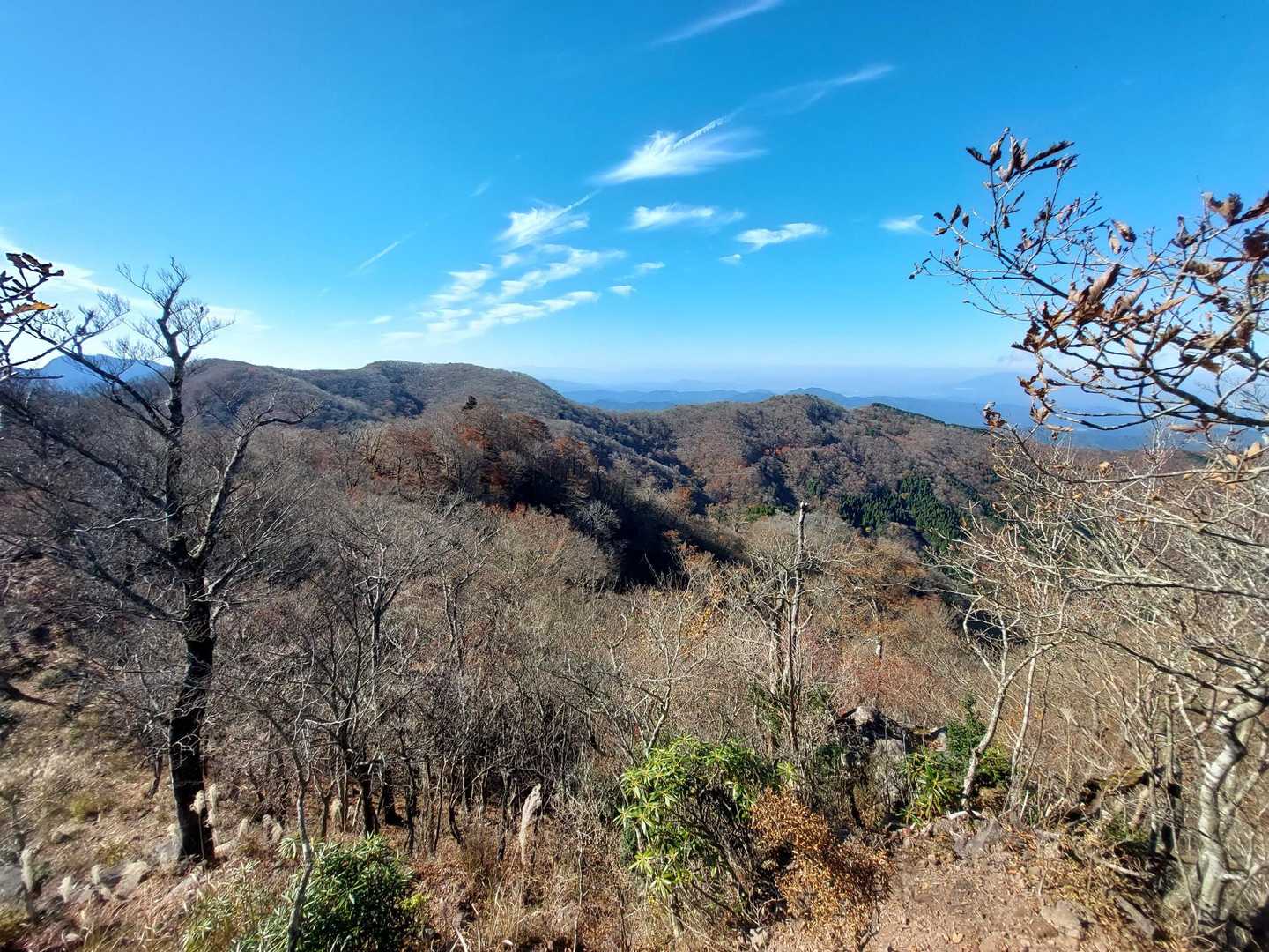 一ノ岳-大竿峠-犬ヶ岳 往復コースの写真