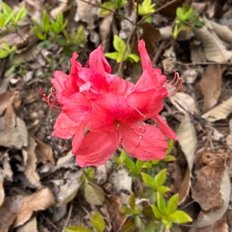 🥰楽しいしかなかった百々ヶ峰イレブン✨来てよかった✨