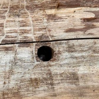 ベンチの穴の中に隠れた、ダンゴムシ。