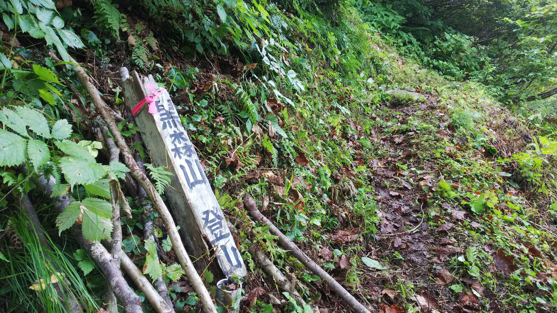 仙人の杖、借りたよ～