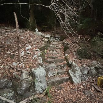 なんとか日の入り+10分くらいで下山完了