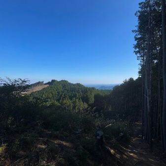 次に向かう三室山

その向こうに広がる武蔵野台地

色々な縦走スタイルがありますが、

個人的には低山縦走

とりわけ町に向かって歩く縦走が好きです