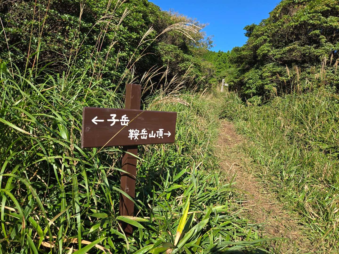 分岐に戻ってきました