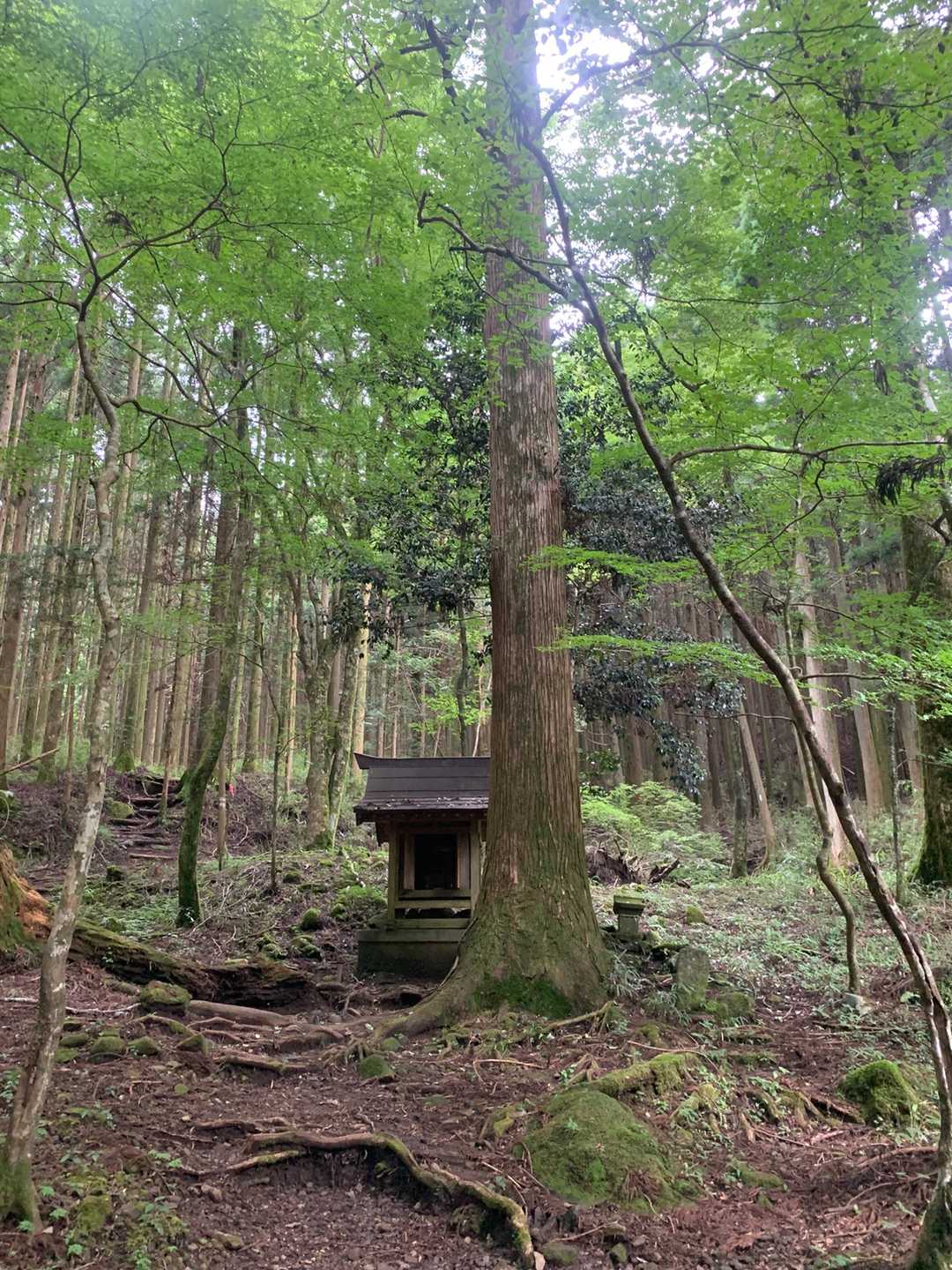 山神社でお参りして、帰りました。