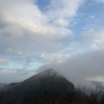 二本ボソから倶留尊山が見える。