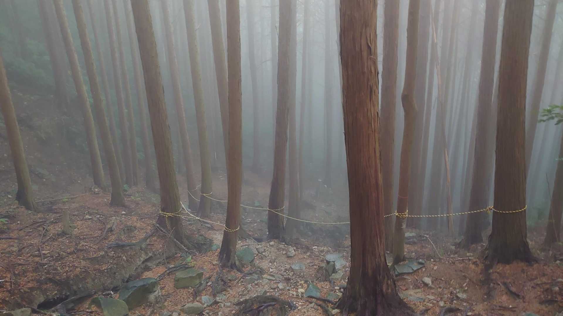 ガスガスも幻想的💕良き‼️