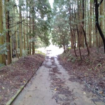 登山口の道路脇に駐車しました