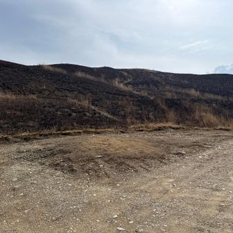 すでに野焼きが済んでるとこも