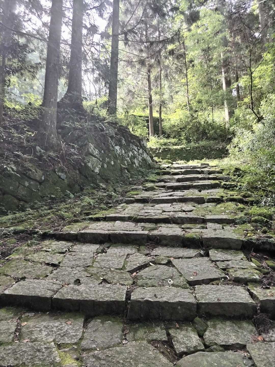 整備されています