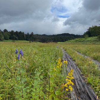 天気がイマイチでも、人のいない自然の中はとても良いです。