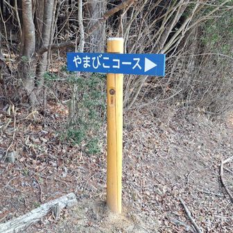 道はとてもきれいに整備されてました