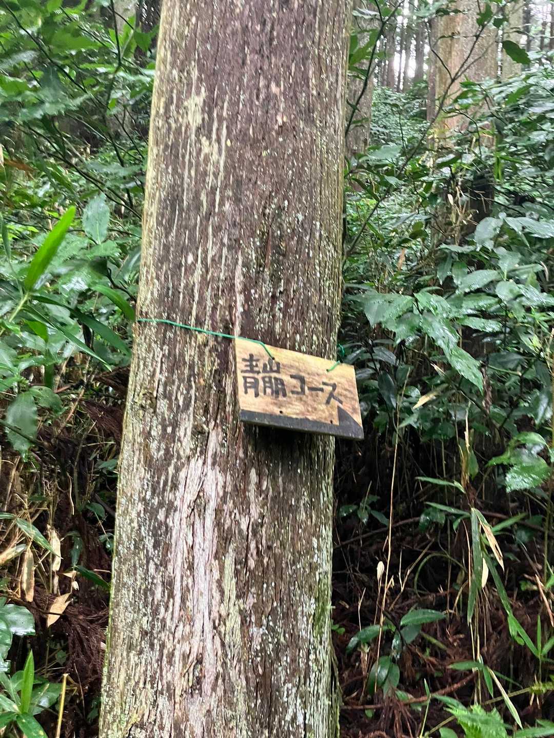 原付で水越峠へ🛵
スタートです