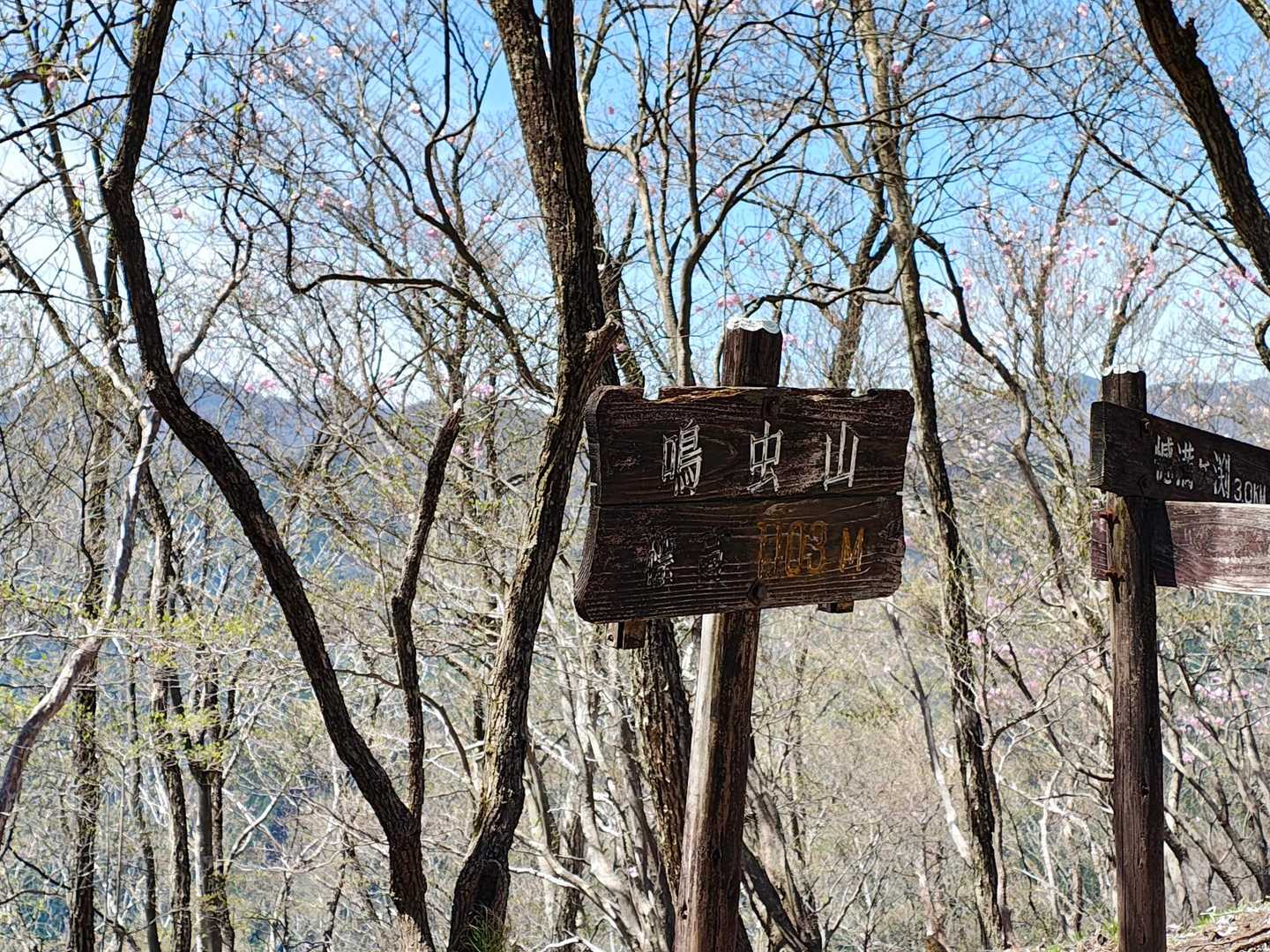 山頂到着しました
左後ろにあるのは社山です