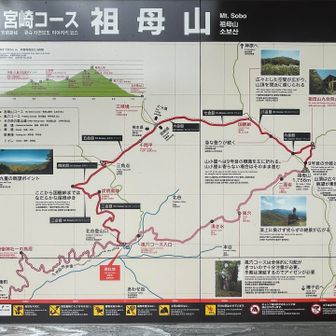 今回の地図