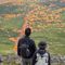 だい