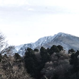 ありがとうございました