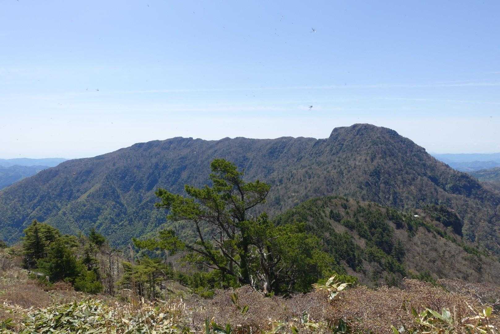 手箱山実はまだ行ったことがない
筒状山までは何回か行ったのに