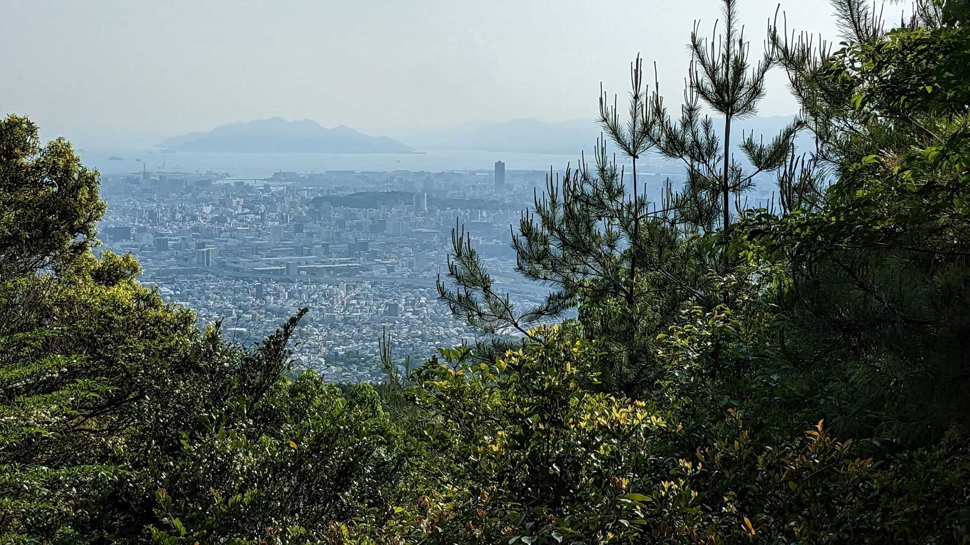 水分神社登山口-呉娑々宇山 往復コースの写真
