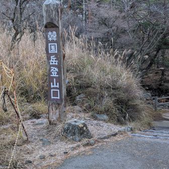 いつもとこらからスタータとします