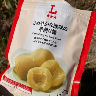 燕山手前でひと休み。
あまり食欲ないので、梅とジェル2つを補給。