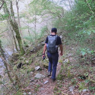 Mountain Report