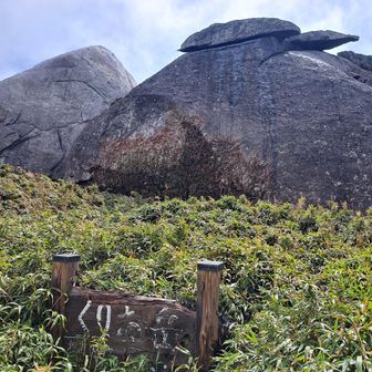 栗生岳
亀さんの様な岩
