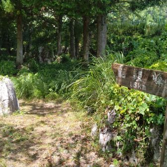 登山口