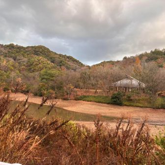 キャンプ場みたいな