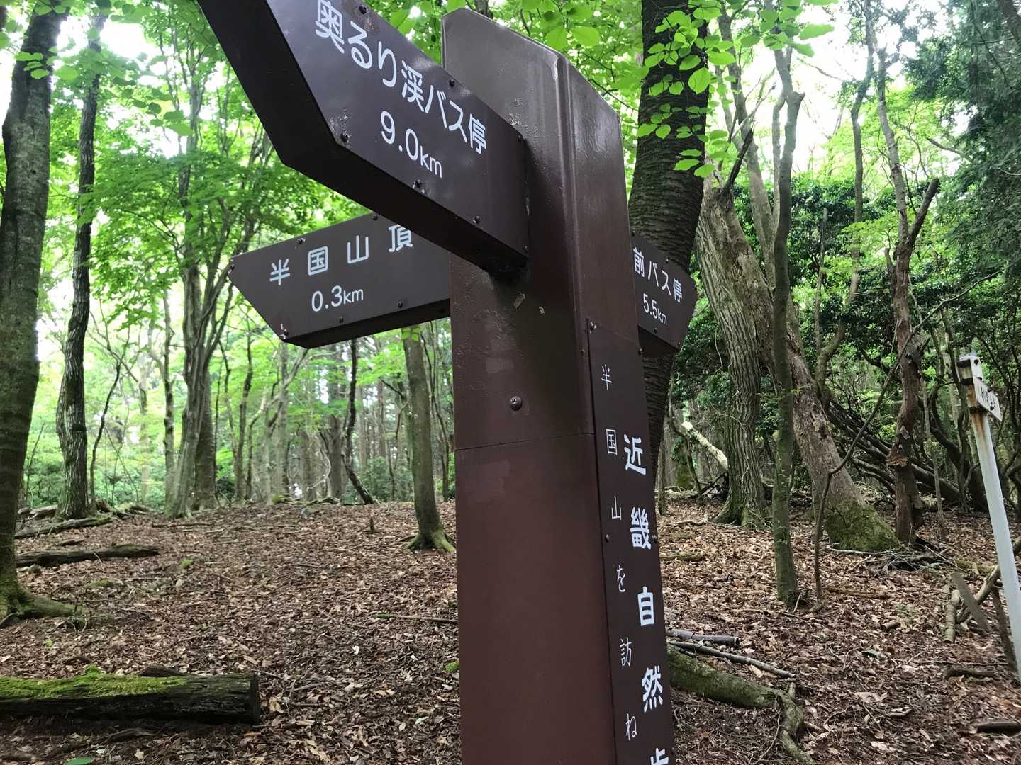 ビューも名残り惜しいのですが、下山します😊
宮前バス停まで5.5km