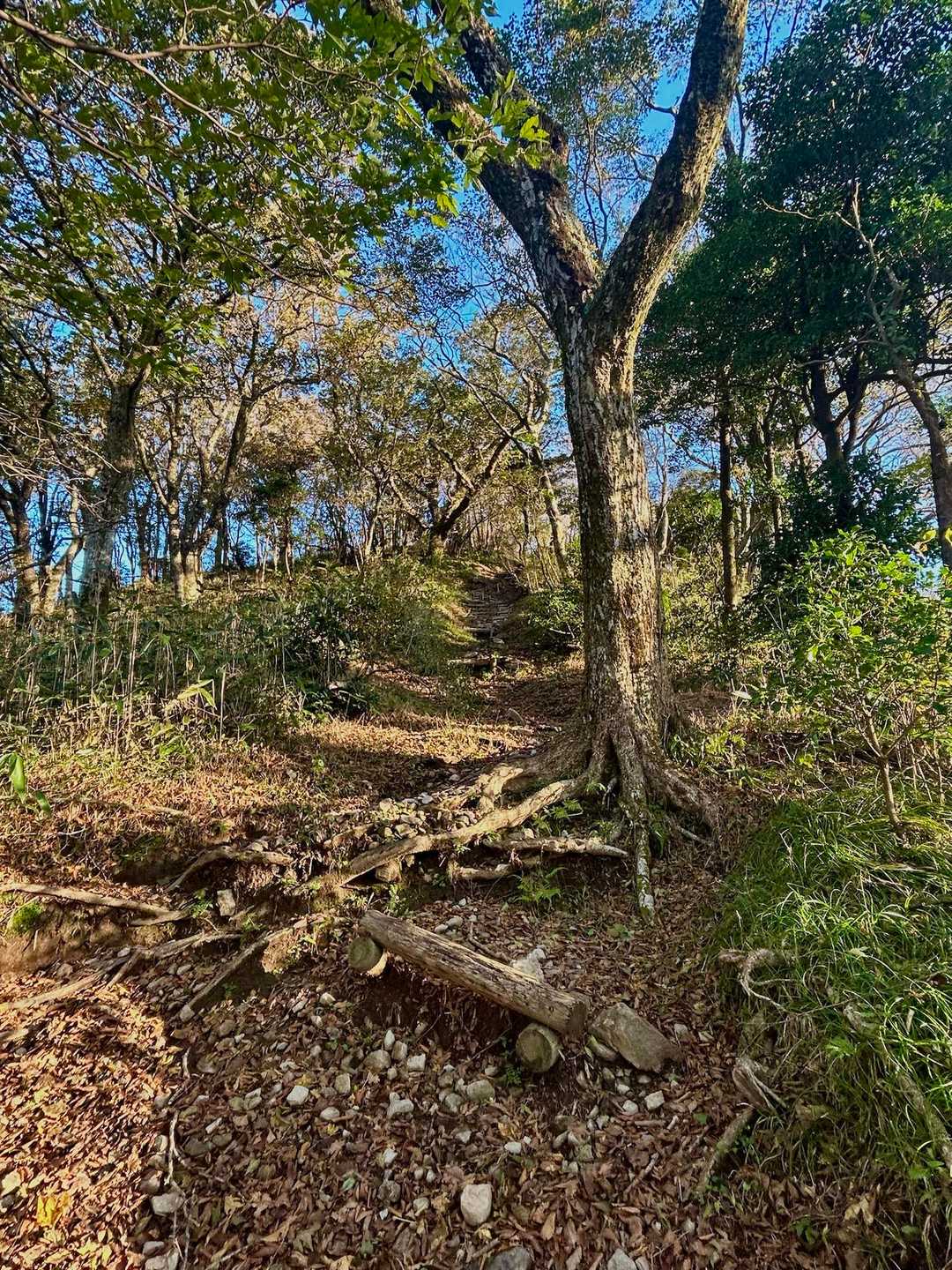 御前岳登山口-御前岳-釈迦岳-釈迦岳-矢部越登山口 縦走コースの写真
