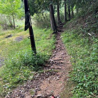 ハイキング道を登ります。