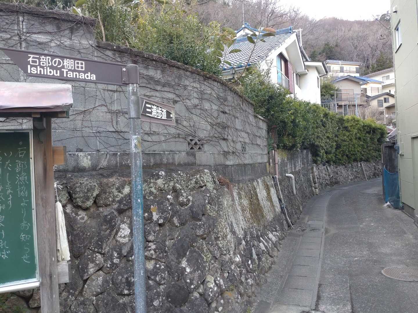 ここから登り返し💦