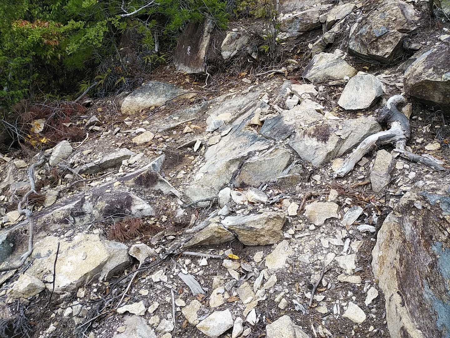 氷上山 往復コースの写真