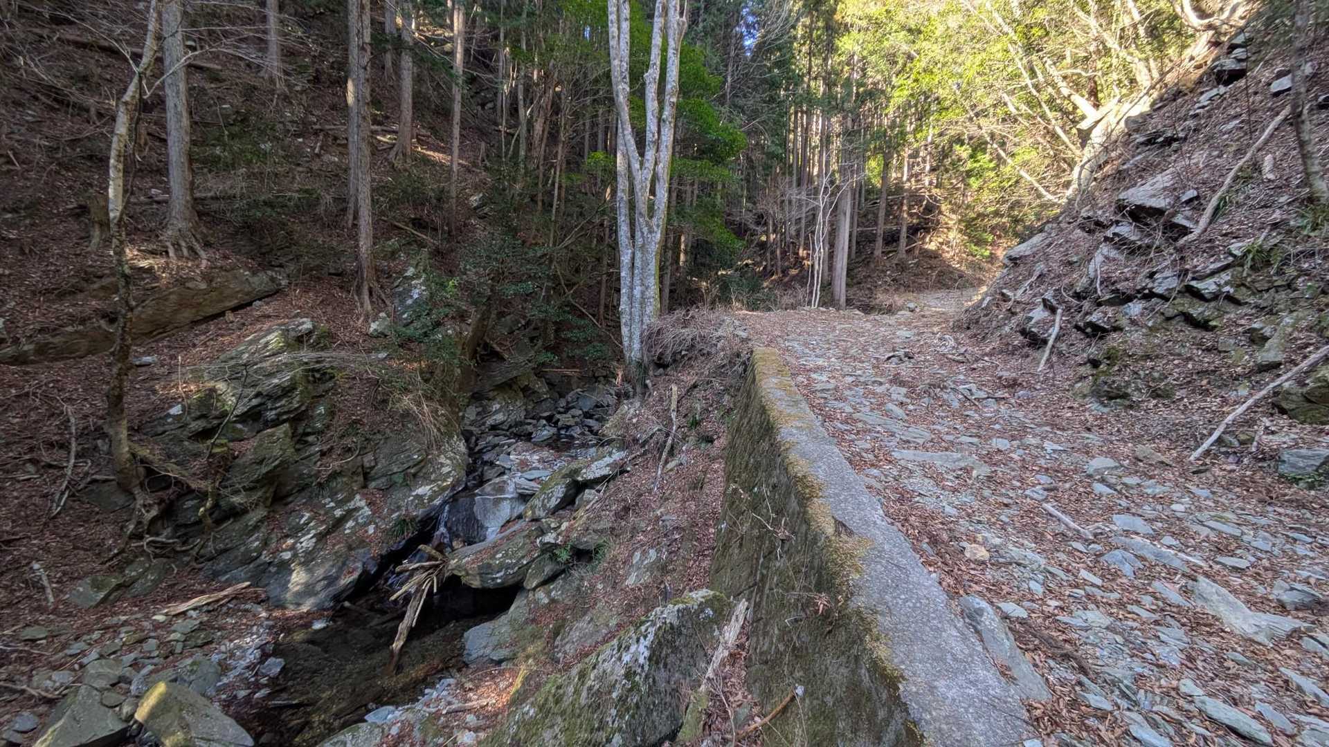 白倉山 往復コースの写真